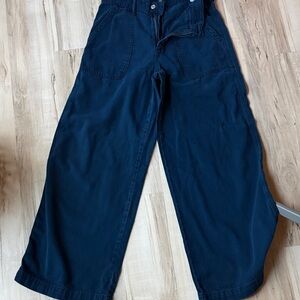 Banana Republic Dark Blue Trousers